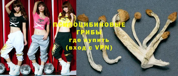мяу мяу мука Армянск