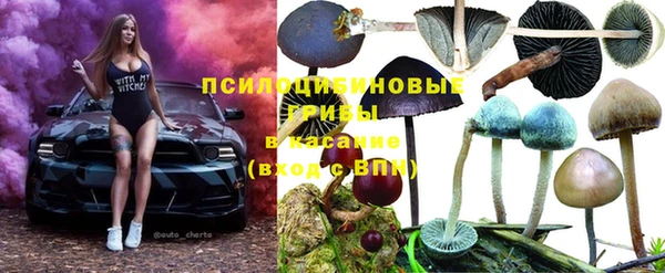 марки nbome Аркадак